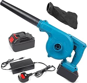 2 in 1 Chargeable Blower and Vacuum