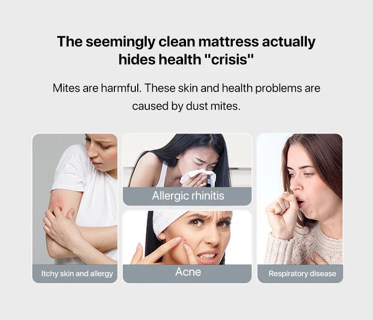 مكنسة كهربائية لعث الغبار