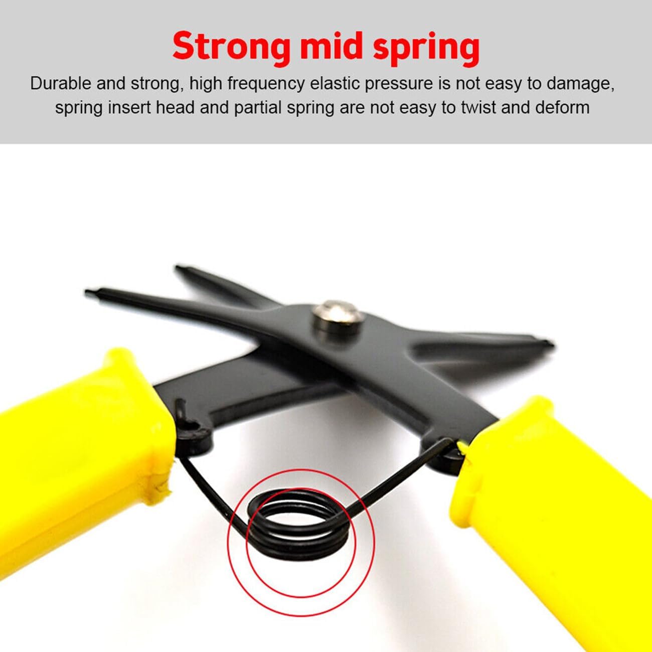 2 in 1 Snap Ring Pliers